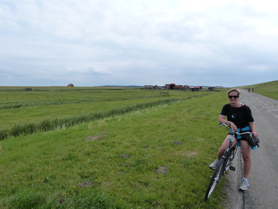 Hier macht Fahrradfahren Spass: keine Bergwertungen am Deich
