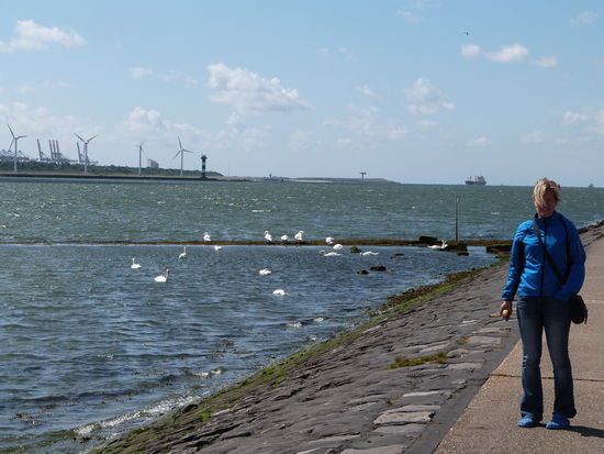 Noch in Holland - warten auf die Fähre nach England