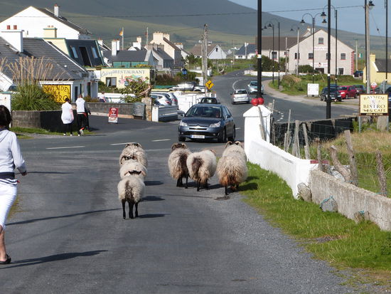 Achtung !!! Gegenverkehr
