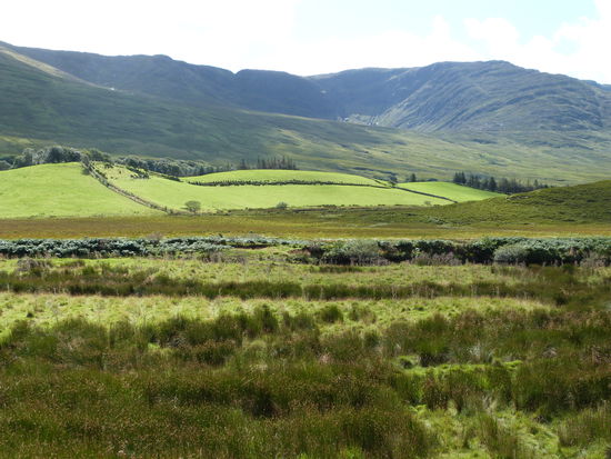 Irland - die grüne Insel