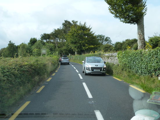 Die Strassen an der Westküste sind meist eng, rechts und links sind Mauern oder Hecken