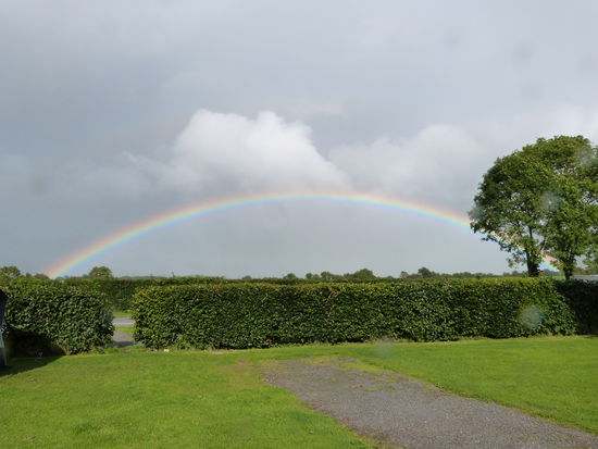 Regen + Sonne = Regenbogen