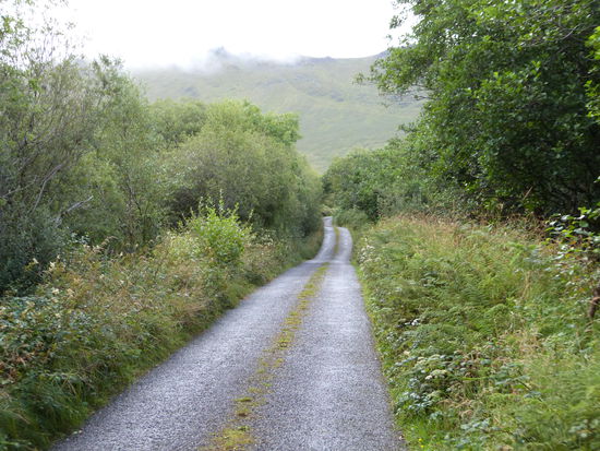 ...offizielle Strasse, wo das Navi einen so hinführt...