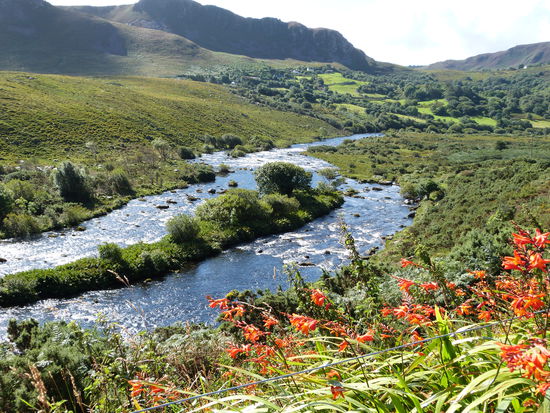 Fast schon kitschig : Ausblick bei der Fahrt des Ring of Kerry