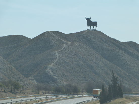 Auf der Fahrt von Pamplona nach Barcelona trafen wir auf den obligatorischen Stier