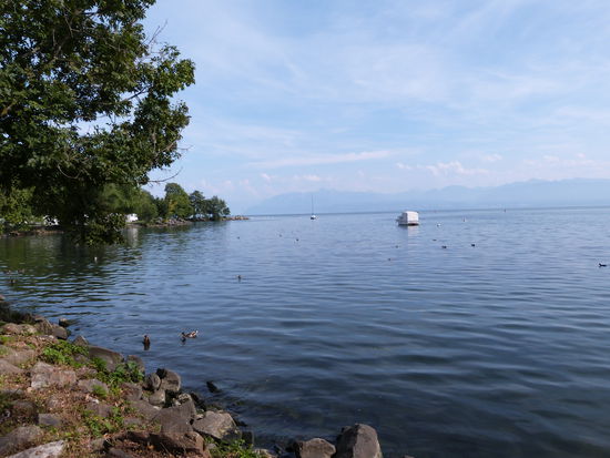 Der Genfer See...
