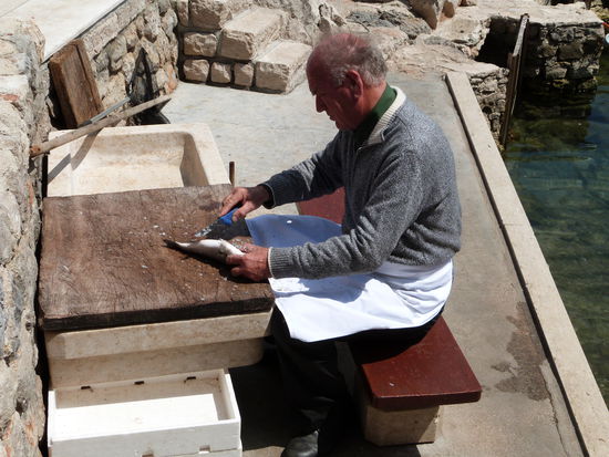 ...wo es den Fisch frisch aus dem Meeresbasin (Wasserbecken hinten) gibt.