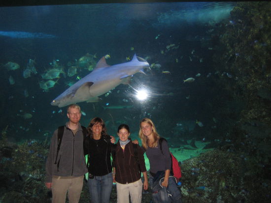 Vor dem Weissen Hai: Die ueblichen Verdaechtigen