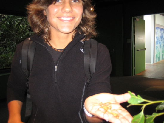 JAAA! Ein RIESENINSEKT, das ich sonst nur aus dem Fernseh kannte und immer dachte ich wuerde sowas nieeee auf die Hand nehmen...