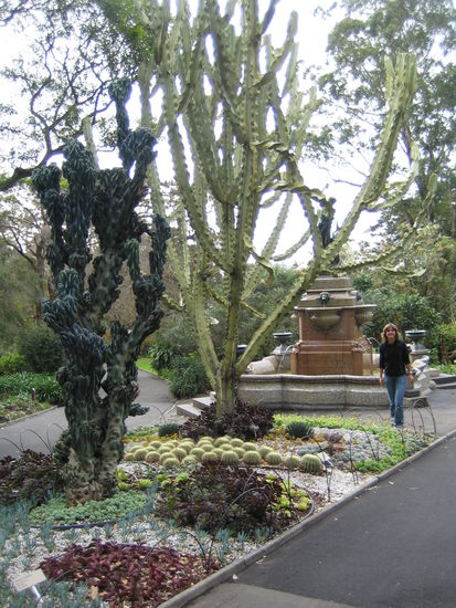 hmhmhm... das kleine schwarz blaue in der mitte rechts bin ich... 