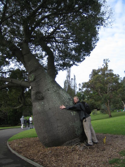 Mit diesem ganz normalen Baum hat Nils sich gleich angefreundet ^^
