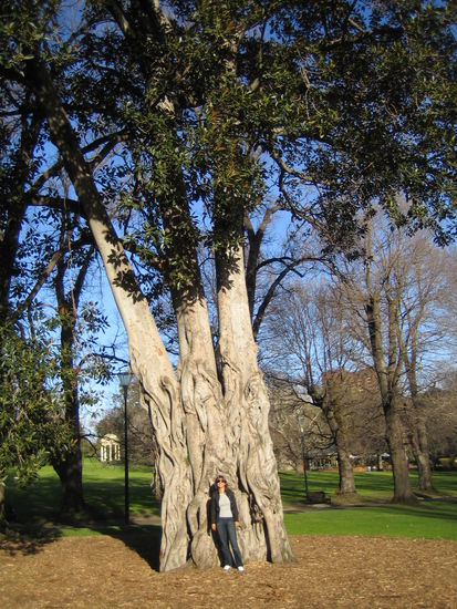 Fitzroy Gardens
