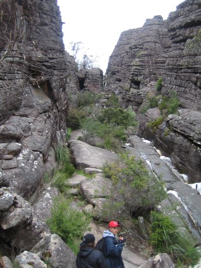 Auf dem Weg zum Pinnacle Lookout