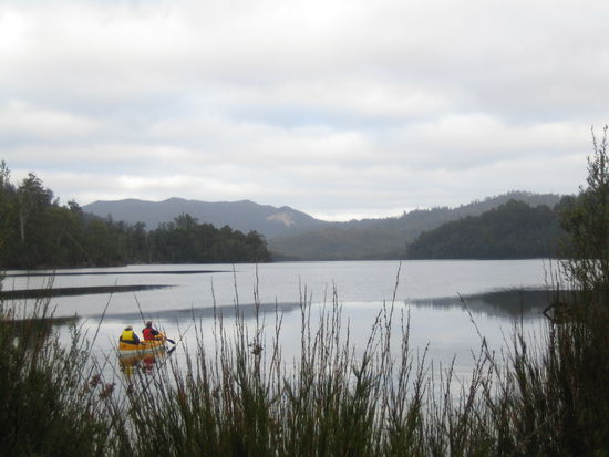 Ist das nicht Natur pur??