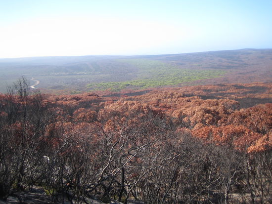 Leider kommen die Farben auf dem Foto nicht so schoen raus, aber es sah unglaublich aus!