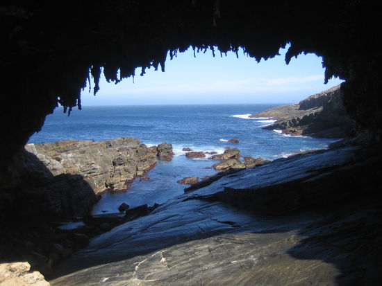 Leider ist das Foto auf dieser Seite zu klein, aber sowohl auf den Felsen als auch im Meer sieht man ausgelassene Seelowen.
