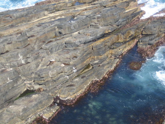 Ebenso hier, wenn man genau hinguckt, kann man sie erkennen...