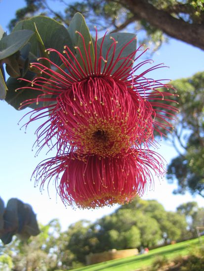 Wenn es denn welche gibt 