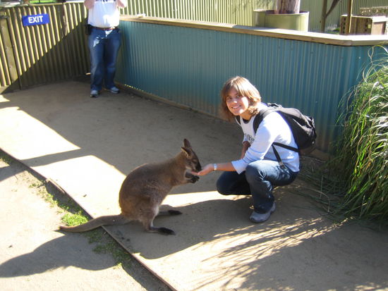 Ist das nicht suess??? Ein Wallaby...