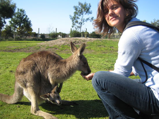 Hier bitte nicht auf mein zersaustes Haar achten, (es war aber auch echt windig!) sondern auf das suesse Kanguruh Baby das aus dem Beutel schaut!!