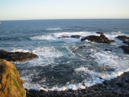 Dort haetten wir Robben sehen sollen...