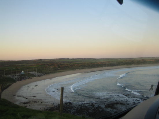 An diesem Strand kommen die Pinguine an Land