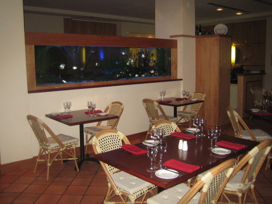 Meine geliebten Fische!! Die schlafen doch tatsaechlich auf dem Ruecken( wenn ich das so nennen darf) sodass mindestens einmal taeglich irgendein Gast erklaert, dass die Fische tot seien und wohl etwas mit dem Wasser nicht stimmt...