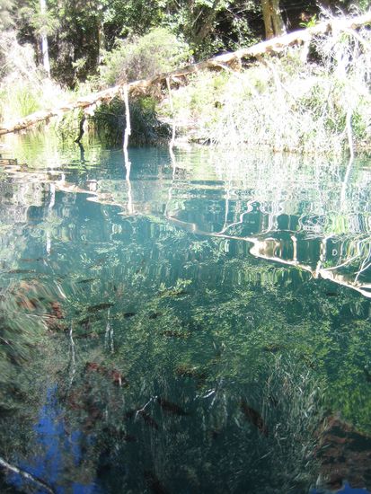 Mit Fischen als Begleitung...