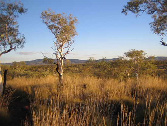 sieht ein bisschen wie africa aus, gell 