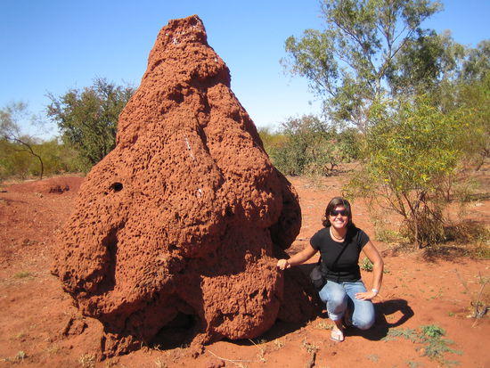 und ein echter Termitenhuegel
