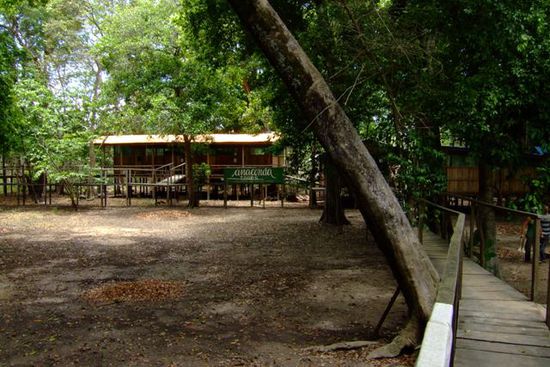 Unsere Dschungellodge auf Stelzen.