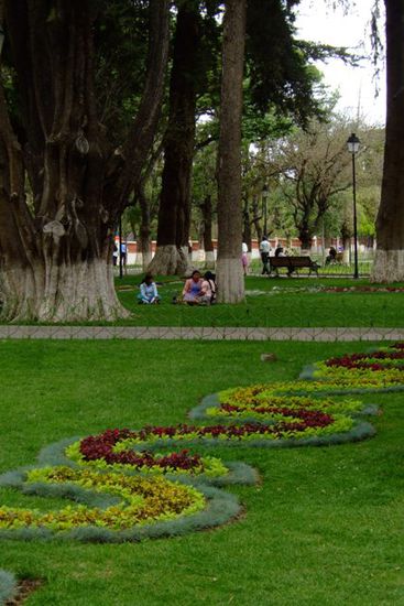 Im gruenen Parque Boliviar
