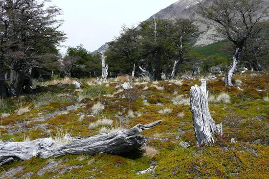 Wir wandern in unterschiedlichsten Landschaften.