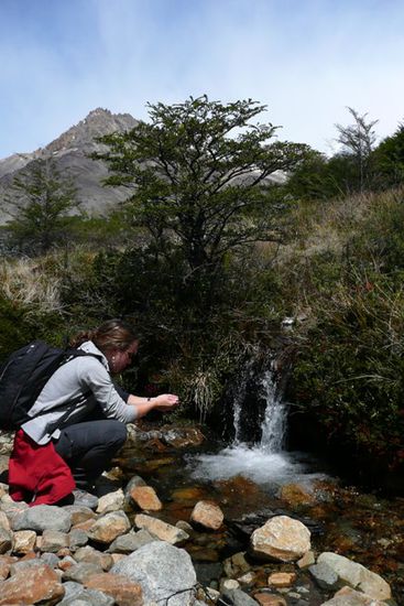 Das eiskalte Gletscherwasser kann man aus hunderten Baechen direkt trinken.
