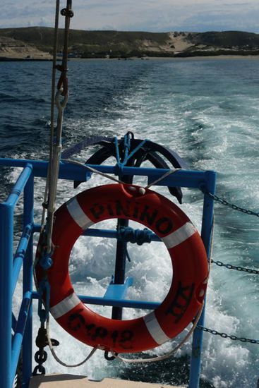 Ab gehts ins offene Meer!