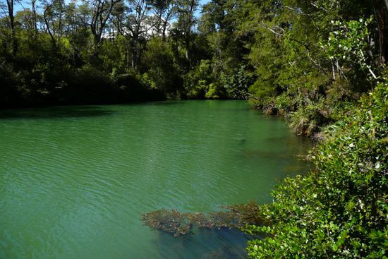Die gruene Lagune.