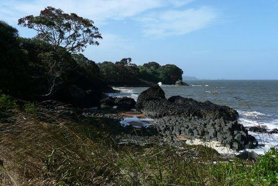 Kuestenabschnitt in Waitangi.