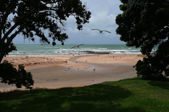 Der Coopers Beach hat uns gut gefallen!
