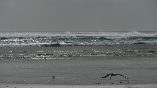Welle um Welle rauscht heran.