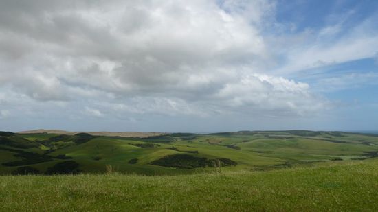 Saftig-gruene Huegel, auf dem Weg zum Cape.