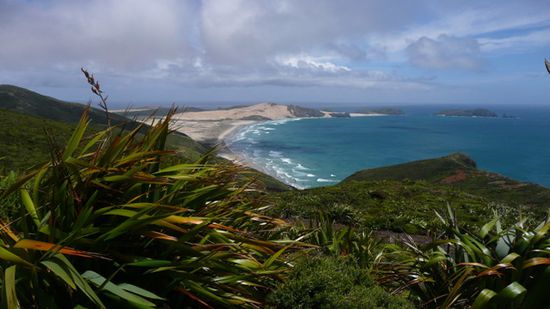 Aussicht auf die Duenen vom Cape Reinga aus.