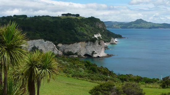 Auf dem Weg zum Cathedral Cove.
