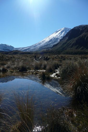 Der Vulkan Ngauruhoe spiegelt sich im Bergseelein.