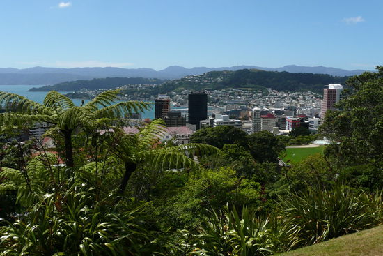 Aussicht auf die Stadt.