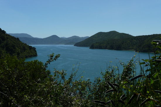 Unser 1.Januar, schoen, oder?