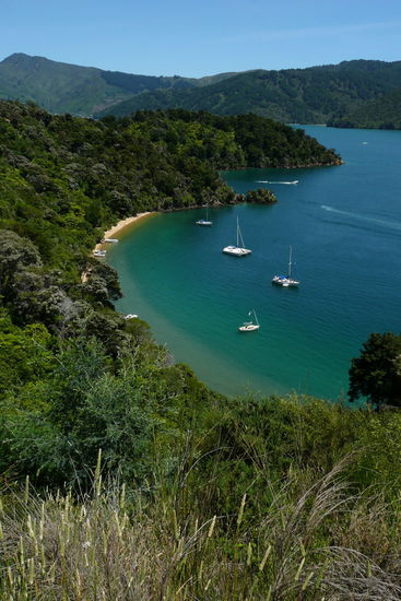 Traumhafte Bucht im Queen Charlotte Sound.