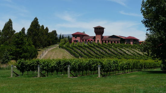 Das ist eine der bekannten Wineries. Da kann ja nur guter Wein entstehen...