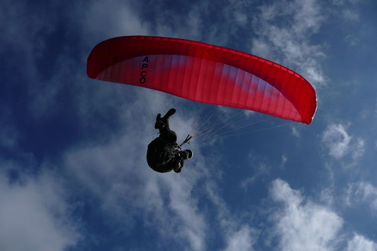 ...und ueberfliegt frech die Fotografin (mich) ...