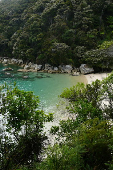 Eine der zahlreichen Buchten im Abel Tasman National Park...