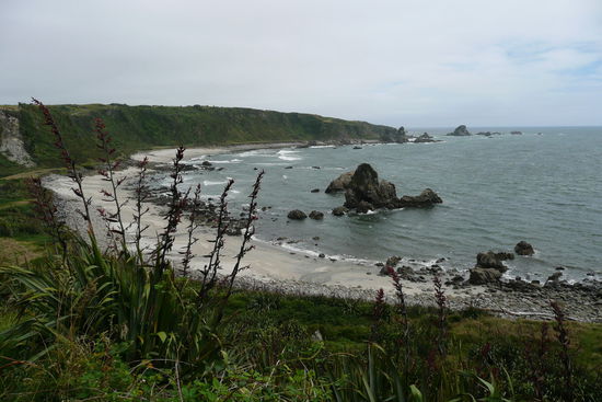 Die Kueste der Seeloewen.